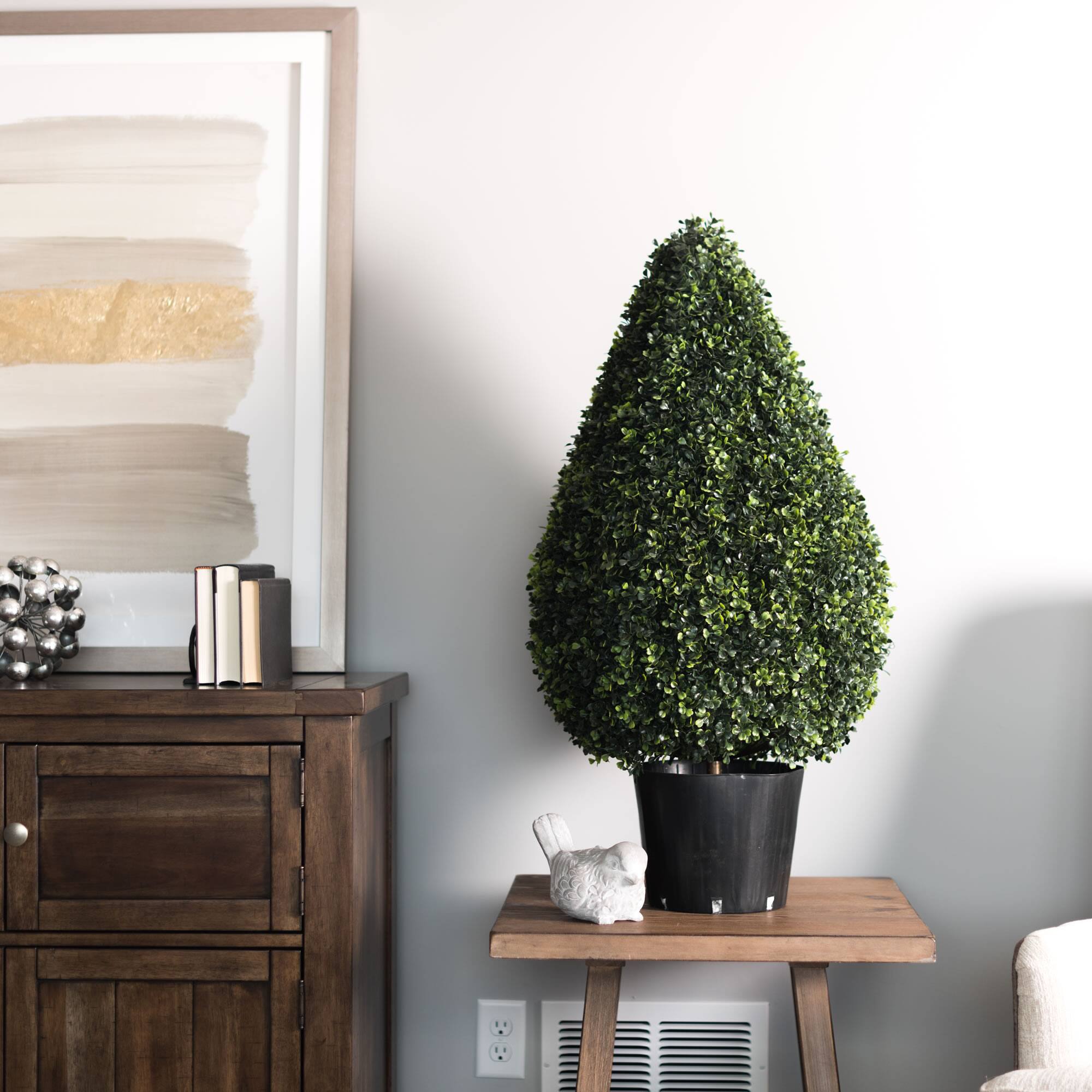 3ft. Potted Boxwood Teardrop Shaped Bush